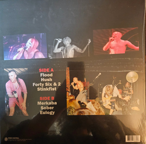 Tool (2) : Like A Dog In Heat - Live At Wings Stadium, Kalamazoo, USA, July 15th 1998 - FM Broadcast (LP, Ltd, Unofficial)