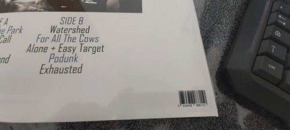Foo Fighters : Down In The Park -The Nyc Broadcast (LP, Ltd, Unofficial)