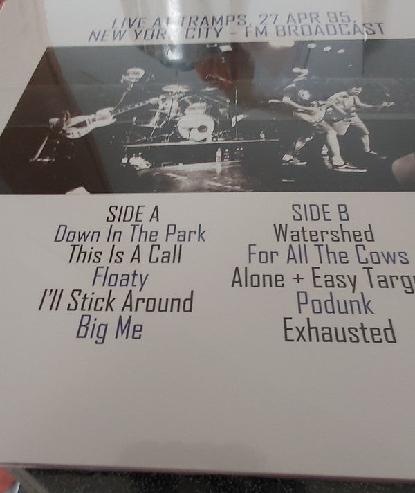 Foo Fighters : Down In The Park -The Nyc Broadcast (LP, Ltd, Unofficial)