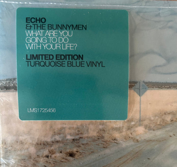 Echo & The Bunnymen : What Are You Going To Do With Your Life? (LP, Album, Ltd, RE, RM, Tur)