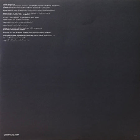 Roger Daltrey : As Long As I Have You (LP, Album, 180)