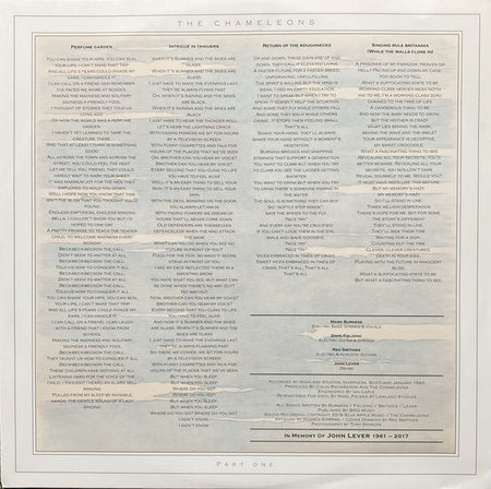 The Chameleons : What Does Anything Mean? Basically (LP, Album, Ltd, RE, RM, Cle)