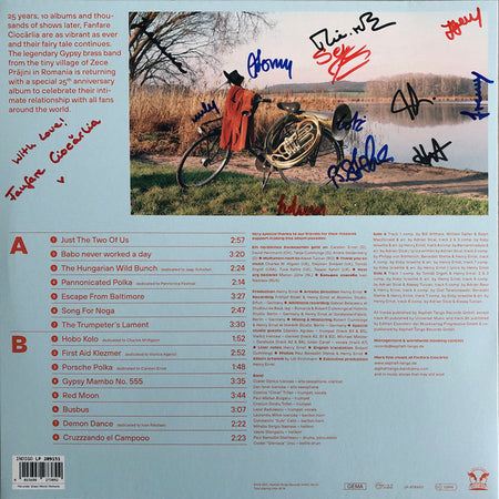 Fanfare Ciocărlia : It Wasn't Hard To Love You (LP, Album)