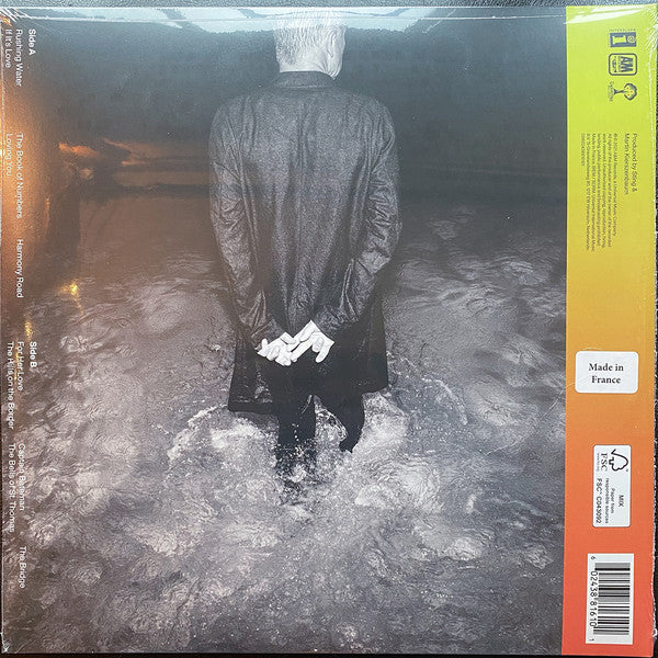 Sting : The Bridge (LP, Album, Exc)