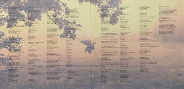 Robert Plant | Alison Krauss : Raise The Roof (2xLP, Album, Ltd, Red)