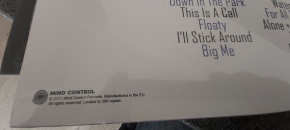 Foo Fighters : Down In The Park -The Nyc Broadcast (LP, Ltd, Unofficial)