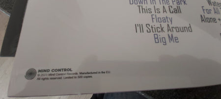 Foo Fighters : Down In The Park -The Nyc Broadcast (LP, Ltd, Unofficial)