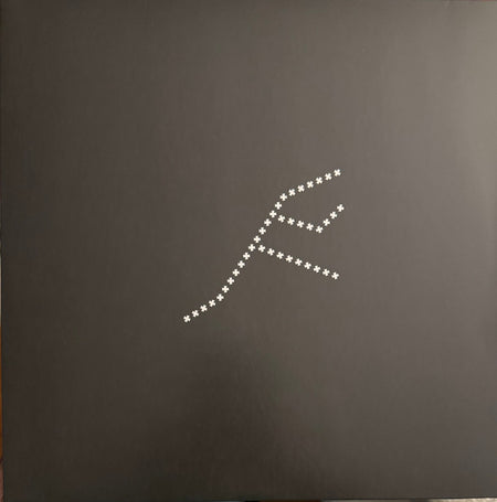 Nicolas Jaar : Piedras (2xLP, Comp)