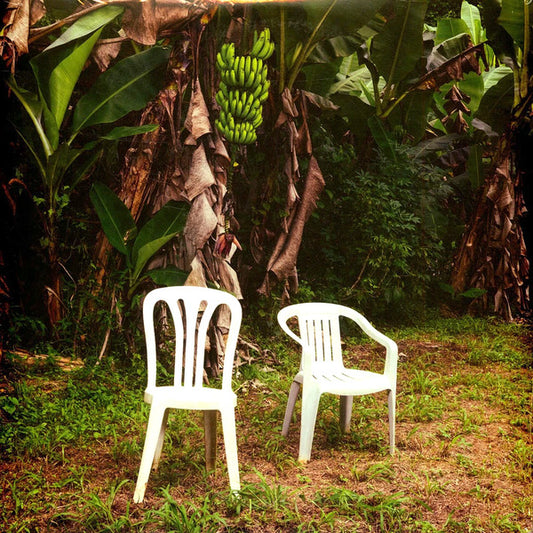 Bad Bunny : Debí Tirar Más Fotos (2xLP, Album, RE, Whi)