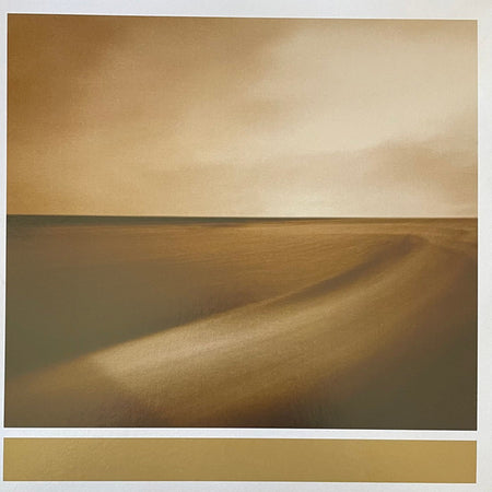 Brian Eno With Jon Hopkins & Leo Abrahams : Small Craft On A Milk Sea (2xLP, RSD, Dlx, Ltd, RE)