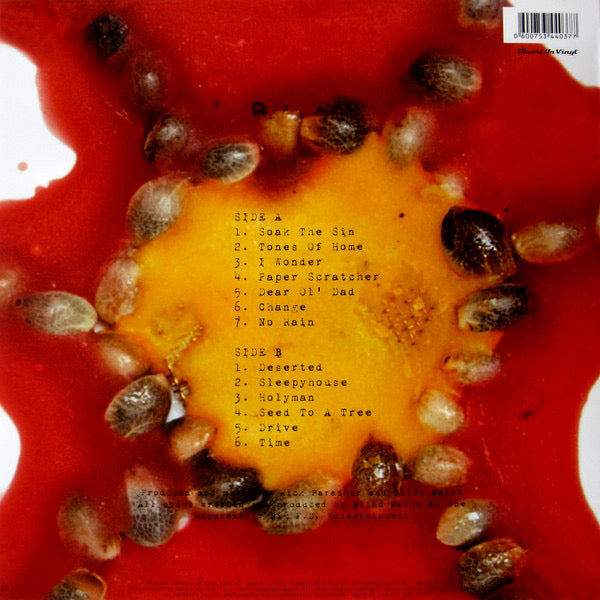 Blind Melon - Quiosco Morrison